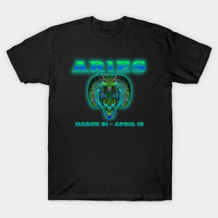 Aries 5b Black T-Shirt